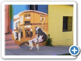 Fresques murales Valparaiso (21)